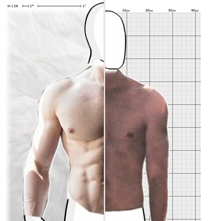 Torso Comparison