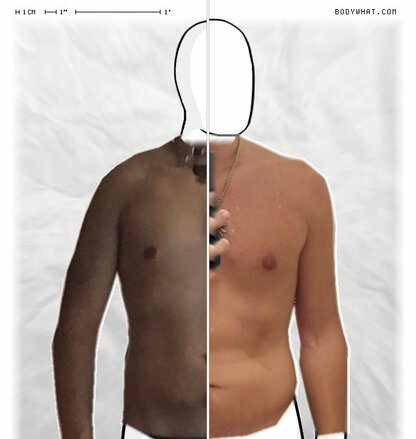 Torso Comparison