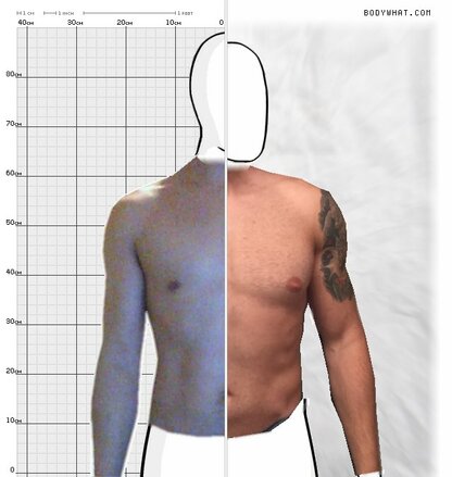 Torso Comparison