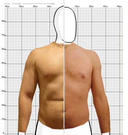 Torso Comparison