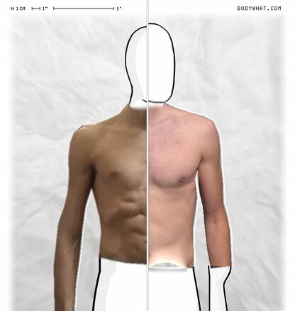 Torso Comparison