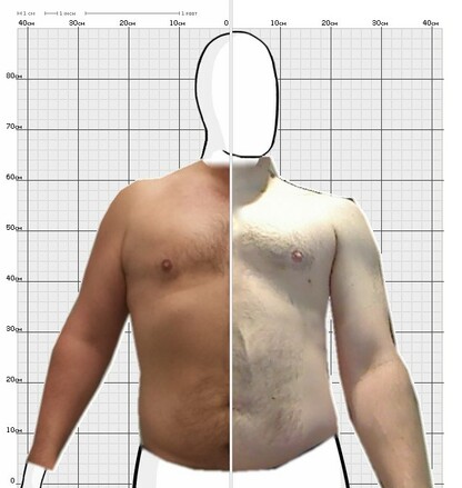 Torso Comparison