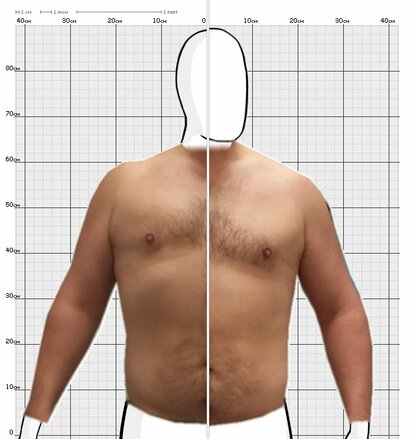 Torso Comparison