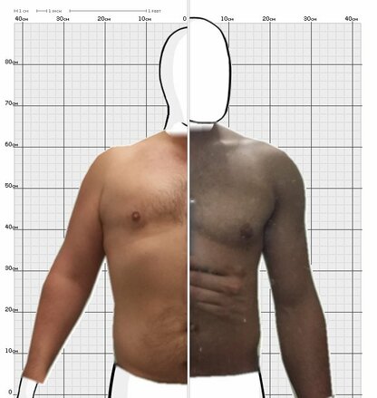 Torso Comparison