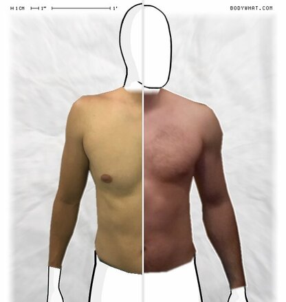 Torso Comparison