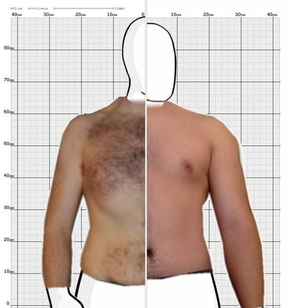 Torso Comparison