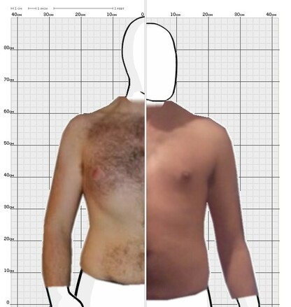 Torso Comparison