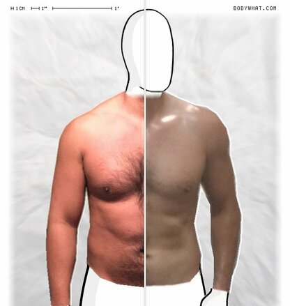 Torso Comparison