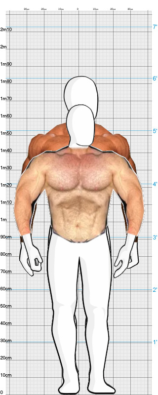 Full Size Comparison