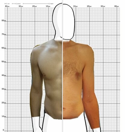 Torso Comparison