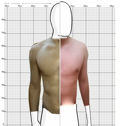 Torso Comparison