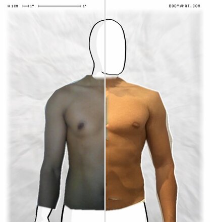 Torso Comparison