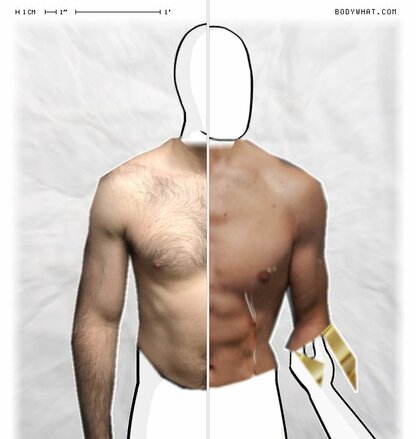 Torso Comparison