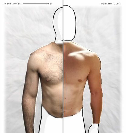 Torso Comparison