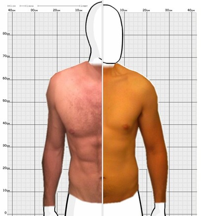 Torso Comparison