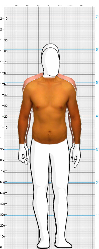 Full Size Comparison