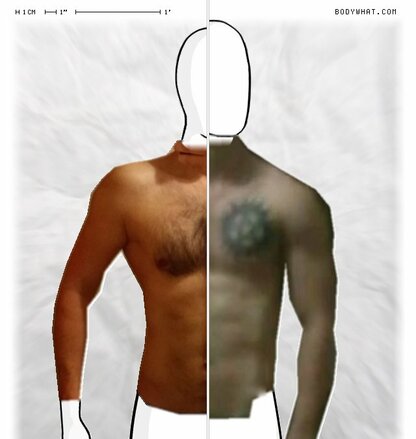 Torso Comparison