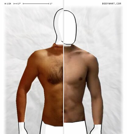 Torso Comparison