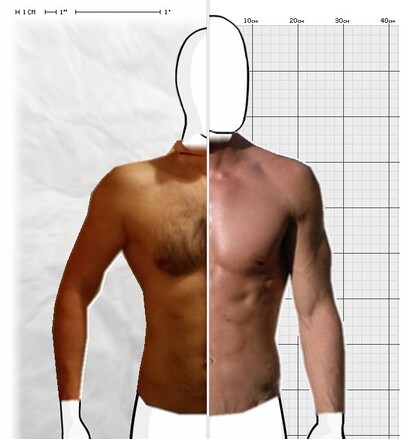 Torso Comparison