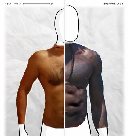 Torso Comparison