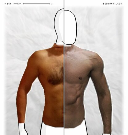 Torso Comparison