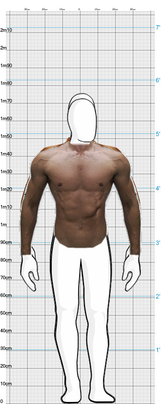 Full Size Comparison