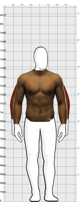 Full Size Comparison