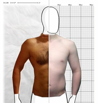 Torso Comparison