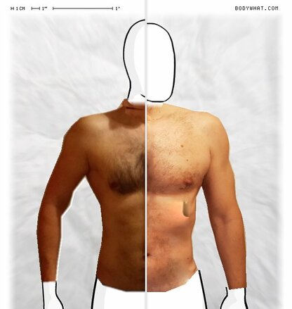 Torso Comparison