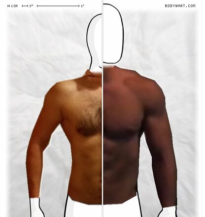 Torso Comparison