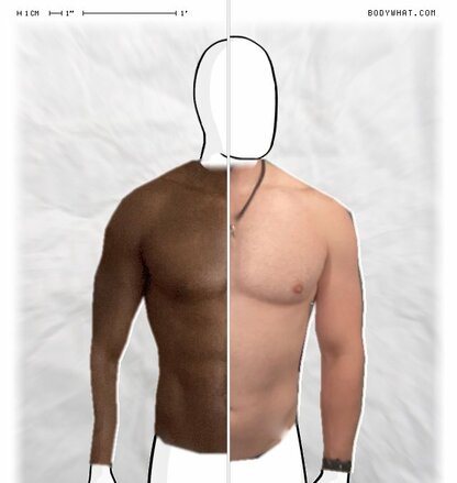 Torso Comparison