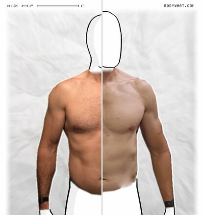 Torso Comparison