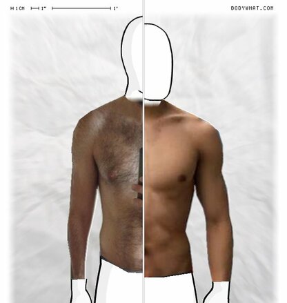 Torso Comparison