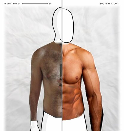Torso Comparison