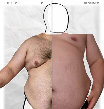 Torso Comparison