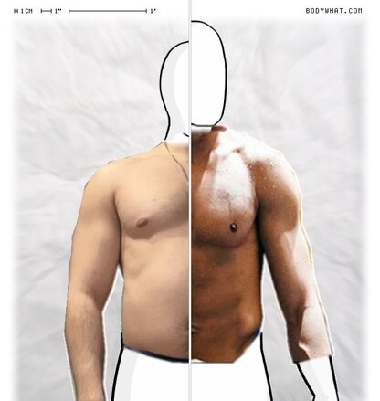Torso Comparison