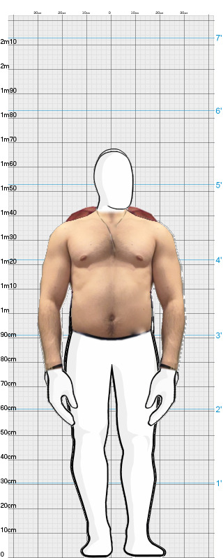 Full Size Comparison