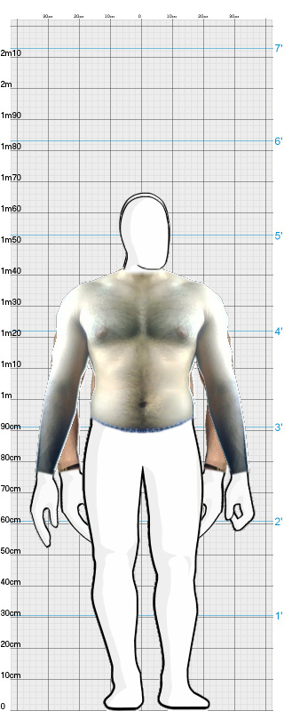 Full Size Comparison