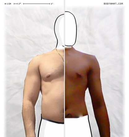 Torso Comparison