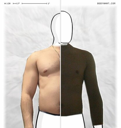 Torso Comparison