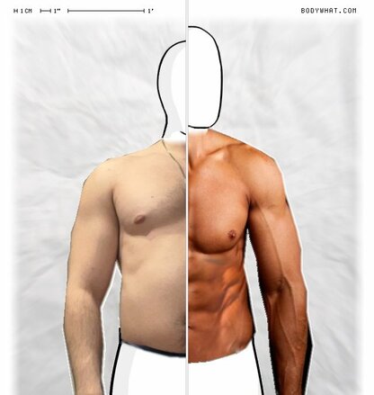 Torso Comparison
