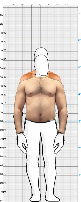 Full Size Comparison