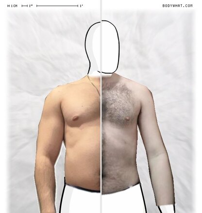 Torso Comparison
