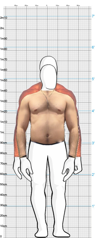 Full Size Comparison