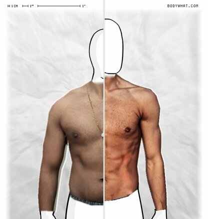Torso Comparison