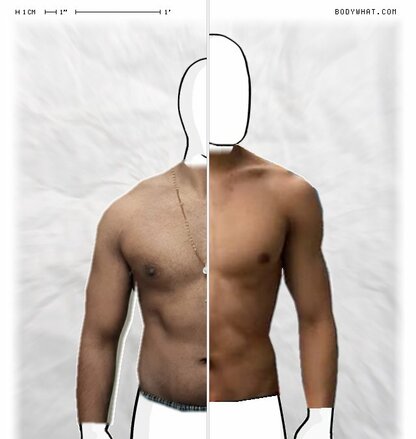 Torso Comparison