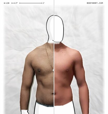 Torso Comparison