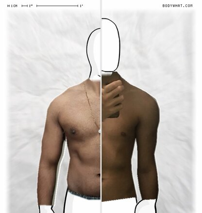Torso Comparison