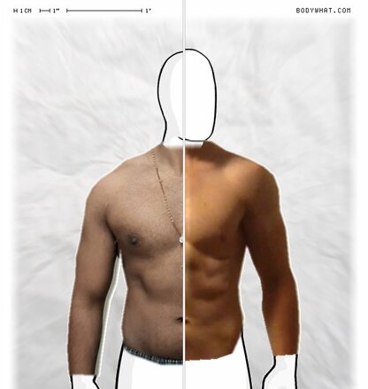 Torso Comparison
