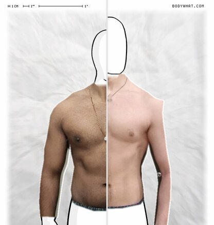 Torso Comparison